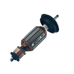 Induzido 220v (1619P08212) - Bosch