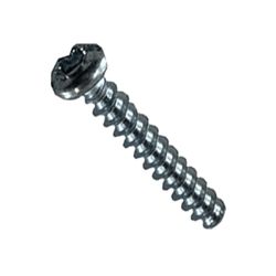 Parafuso Torx Plus (1619P01066) - Bosch