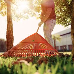 Vassoura Plástica 30D Com Cabo de Madeira 120cm (77856/801) - Tramontina