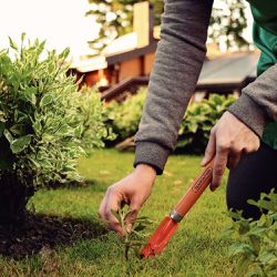 Arrancador de Inço Metálico Para Jardinagem Com Cabo de Madeira (77910/001) - Tramontina