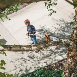 Motopoda a Combustão HT 135 - 30cm/12'' (4182-200-0197) - Stihl