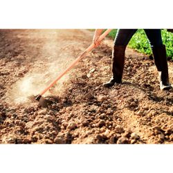 Enxada Estreita em Aço Sem Cabo 1.5 (77218/154) - Tramontina