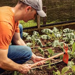 Sacho Duas Pontas Em Aço Com Cabo de Madeira 60cm (77802/201) - Tramontina