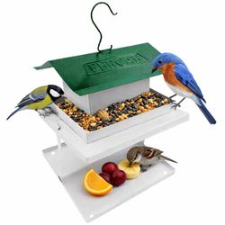 Comedouro Para Pássaros Com Fruteira Verde (70) - Fercar