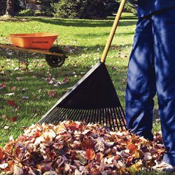 Vassoura Plástica Preta Com 26D Sem Cabo (77855/264) - Tramontina