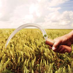 Foicinha Metálica Com Dentes e Cabo (77684/355) - Tramontina