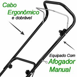 Cortador de Grama a Gasolina Com Recolhedor LF-650RM / 6,5 HP (2931355) - Trapp