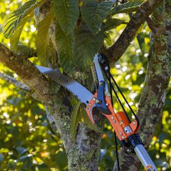 Podador de Galhos Com Serrote Profissional 12" / 305 mm (78380/004) - Tramontina
