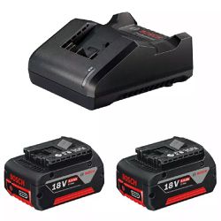 Parafusadeira Furadeira de Impacto 18V Sem Fio Com Carregador e 2 Baterias (GSB180-Li) - Bosch