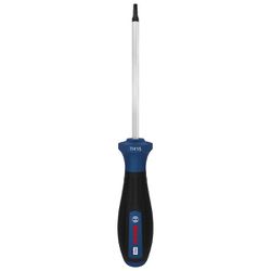 Chave de Fenda Security Torx T15 x 4'' (1600A039SK) - Bosch Pro