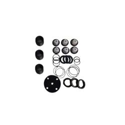 KIT DE REPAROS PARA LAVADORA 3 PISTÕES WAYNE LU 3401 - Romata Ferramentas e Máquinas