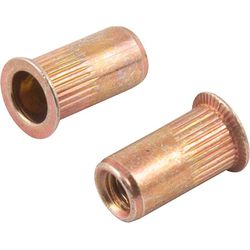 Rebite de Rosca M3 Aço Carbono para Rebitador Manual 10 Peça... - Santec