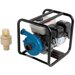 Motobomba a Gasolina 2.1/2 pol Motor 6,5cv T716 90314700 Bra... - Santec