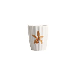 Conjunto 6 Copos C/ Filete Ouro Folhas Agua De Coc - Cerâmica Scalla