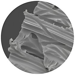 MEMBRANA PCTE 47MM 0,2UM BLACK 100UN - 09480 - SCQ Soluções Laboratoriais | Tudo para seu laboratório!
