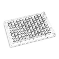 PLACA CULTURA POLIESTIRENO TRANSPARENTE FUNDO CHAT... - SCQ Soluções Laboratoriais | Tudo para seu laboratório!