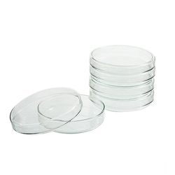 PLACA PETRI VIDRO BOROSSILICATO 100X20MM - 02129 - SCQ Soluções Laboratoriais | Tudo para seu laboratório!