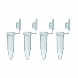TUBO TIPO EPPENDORF POLIPROPILENO 1,5ML GRADUADO 5... - SCQ Soluções Laboratoriais | Tudo para seu laboratório!