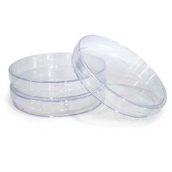 PLACA PETRI POLIESTIRENO DESCARTÁVEL 60X15MM ESTÉR... - SCQ Soluções Laboratoriais | Tudo para seu laboratório!