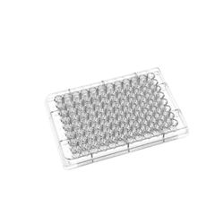 MICROPLACA 96 POÇOS BRANCA PS FUNDO CHATO NÃO ESTÉ... - SCQ Soluções Laboratoriais | Tudo para seu laboratório!