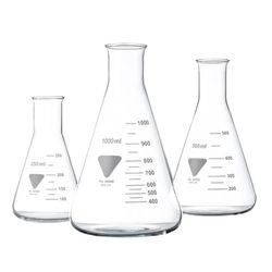ERLENMEYER VIDRO BOCA ESTREITA GRADUADO 250ML 48UN... - SCQ Soluções Laboratoriais | Tudo para seu laboratório!