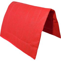 BAIXEIRO TNT VERMELHO - 2008 - Selaria Irmãos Andrade