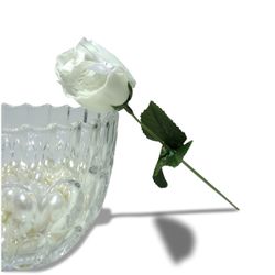 Calcinha Amore Mio (TO016). - Branco - 30441 - SS Discreta
