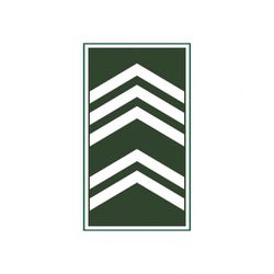 Divisa 1º SGT (Sargento) Emborrachada - D7VEMB7SG - SHOPPINGMILITAR