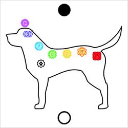 Gráfico Figura Chakras Cachorro PS PVC - PSCACHORR... - LOJA TERAPEUTA LUCIANA SILVEIRA