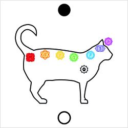 Gráfico Figura Chakras Gato PS PVC - PSGATO - LOJA TERAPEUTA LUCIANA SILVEIRA