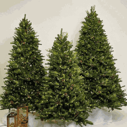 Árvore de Natal Pinheiro Magic com Led 3,60m - AM... - THOULOUSE 