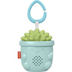 Brinquedo Relaxante Fisher-Price Soothe & Go Succu... - USA PARA VOCÊ LOJINHA