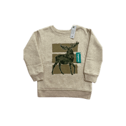 Blusa de MOLETOM FLANELADO ALCE GARANIMALS - 608 - USA PARA VOCÊ LOJINHA