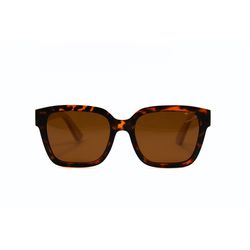 Óculos Heller Animal Print/Bambu Claro Polarizado ... - KINS