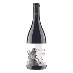 TIERRA DE LECHUZAS MALBEC - Vinho Justo