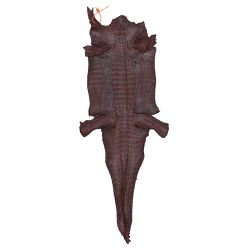 Couro de Jacare Acab. HB (Caiman Yacare ) Vinho - ... - Exotic Couros