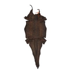 Couro De Jacaré (Caiman Yacare ) Tabaco Rustic Lix... - Exotic Couros