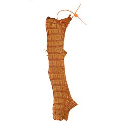 Retalhos em couro de jacaré - Caiman yacare - Exotic Couros