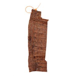 Retalhos em couro de jacaré - Caiman yacare - Exotic Couros