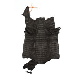 Retalhos em couro de jacaré - Caiman yacare - Exotic Couros