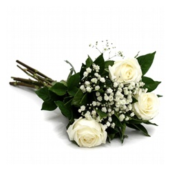 Buquê de 3 Rosas Branca - 3365 - Bellas Cestas Online Salvador