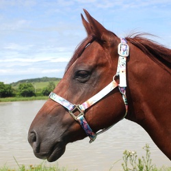 Cabresto para Cavalo Nylon Estampado Boots Horse 3907