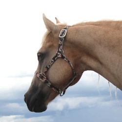 Cabresto para Cavalo Nylon Estampado Boots Horse 3912