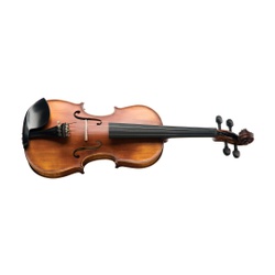 Violino Michael Envelhecido Profissional - VNM 49 - RAINHA MUSICAL