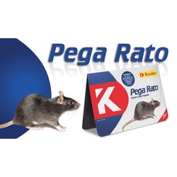 Ratoeira Adesiva Pega Rato - Santec