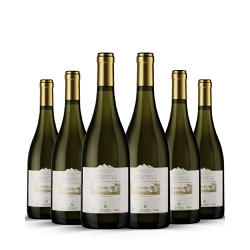 Chardonnay Expressões de Altitude - Caixa com 6 Un... - Vinhedos do Monte Agudo