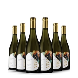 Vivaz Sauvignon Blanc - Caixa com 6 Unidades - Vinhedos do Monte Agudo
