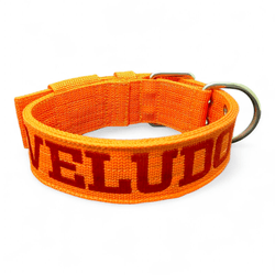 Coleira Para Cachorro Personalizada Laranja e Vermelho - 4001-005-001-LV - Amorosso