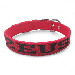 Coleira Fit Personalizada vermelha - 4201-001-VER - Amorosso