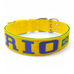 Coleira Para Cachorro Personalizada (Amarelo e Verde) Brasil - 4001-005-001-BR - Amorosso